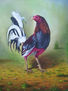 gallo de pelea 2