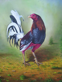 Gallo de pelea 2