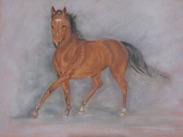 caballo en movimiento