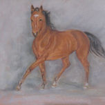 COLECCIÓN DE CABALLOS EN CHILE thumbnail 1