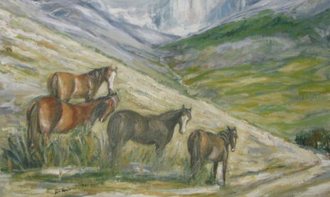 COLECCIÓN DE CABALLOS EN CHILE