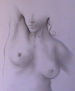 desnudo