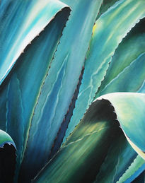 Maguey Azul