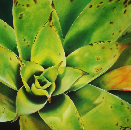 Bromelia I Acrylic Canvas Floral Painting