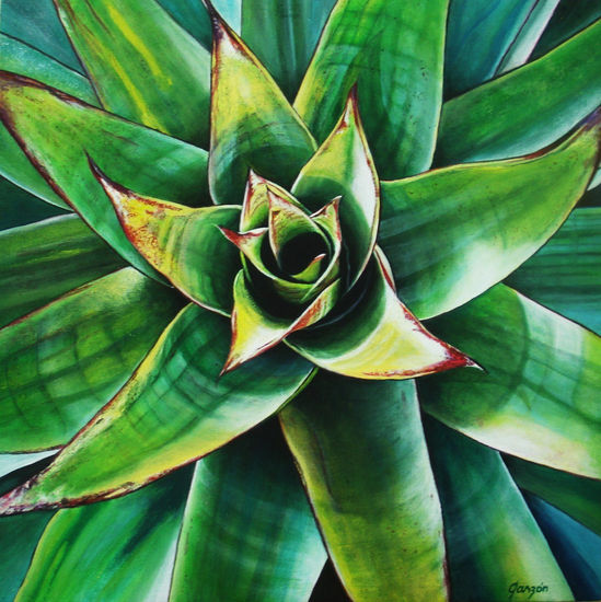 Bromelia II Acrylic Canvas Floral Painting