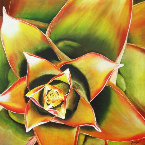 Bromelia III