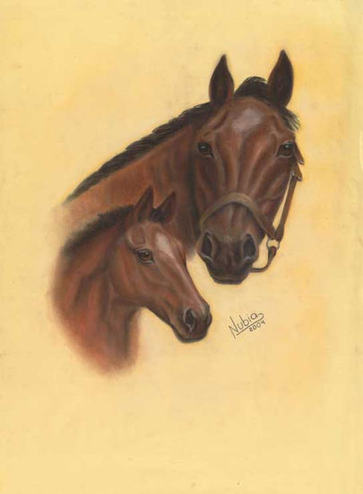 Caballos Pastel Card