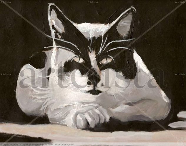 Elegancia felina