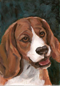 Beagle