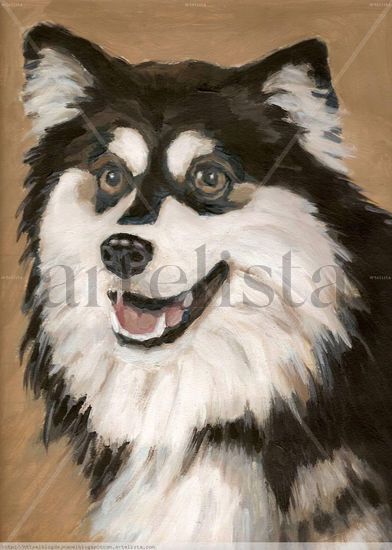 Perro siberiano Acrylic Paper Animals