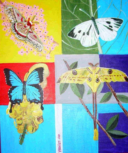 Insectos3