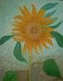 girasol