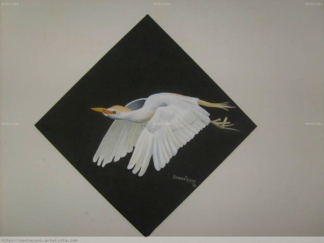 "Vuelo eterno" Oil Canvas Animals