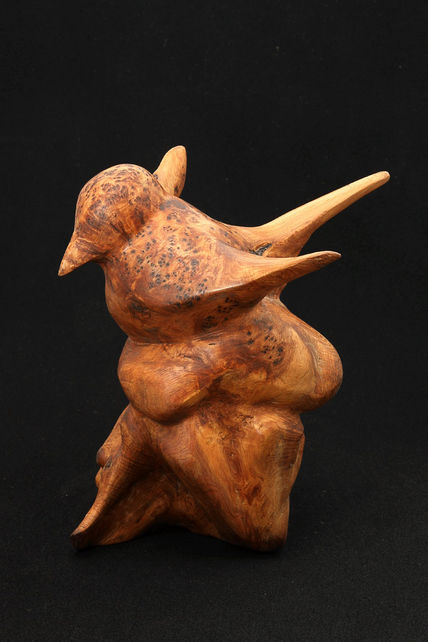 Pajaro
