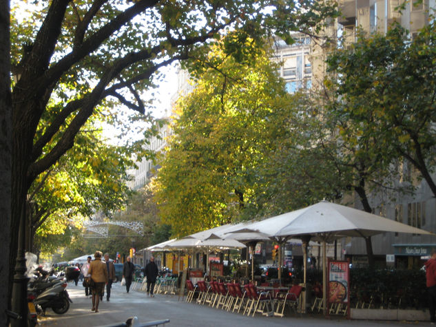 Rambla de Catalunya 