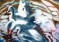 Patos en palermo