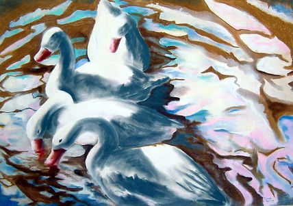 Patos en palermo