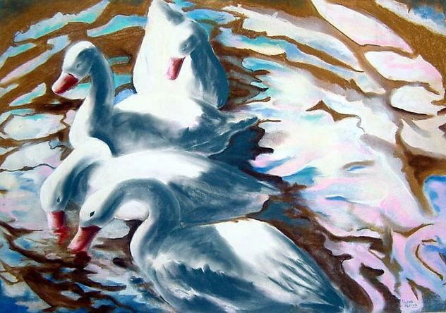 Patos en palermo