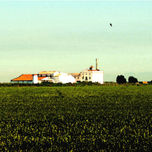 Paisajes de la Albufera thumbnail 2