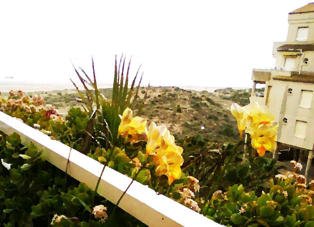 vista con mar y flores.