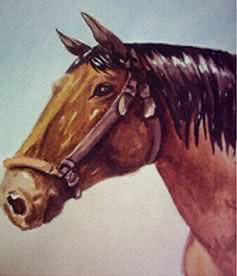 Cabeza de Caballo_3 Watercolour Paper