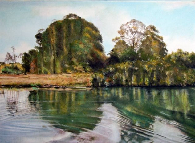 Río Maullin. Oil Canvas Landscaping