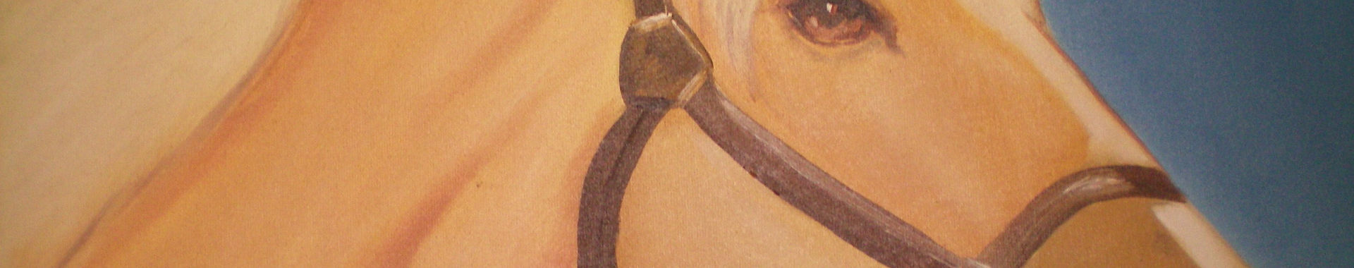 Imagen de portada