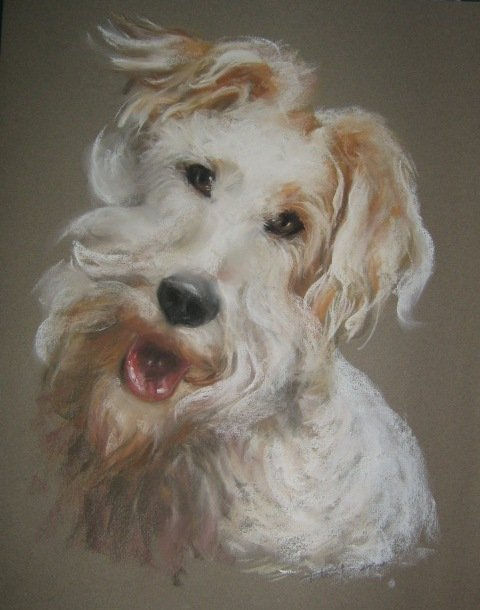 PERRO