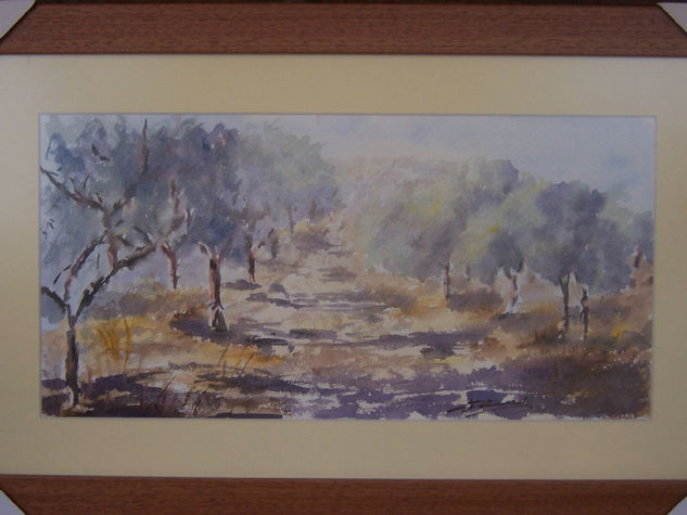 Olivos Watercolour Paper