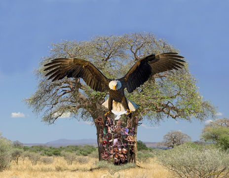 El arbol del aguila.