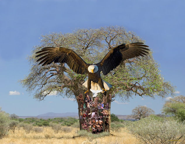 EL ARBOL DEL AGUILA. 