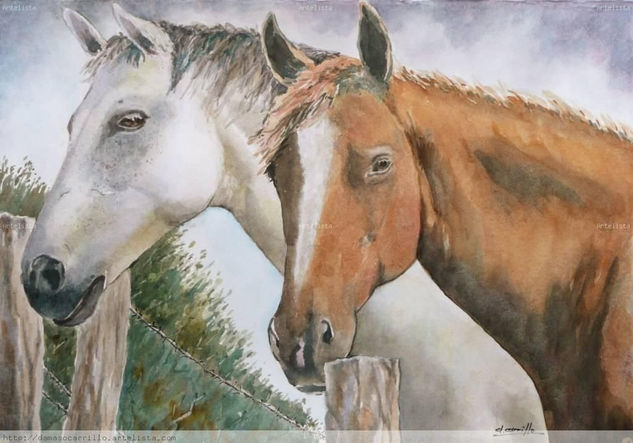 CABALLOS HISPANOS Acuarela Papel Animales