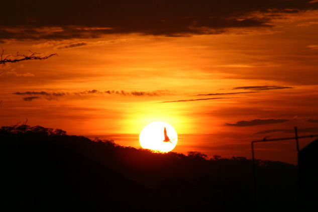 CRUZANDO EL SOL Nature Color (Digital)