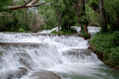 TORRENTE