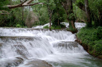 Torrente