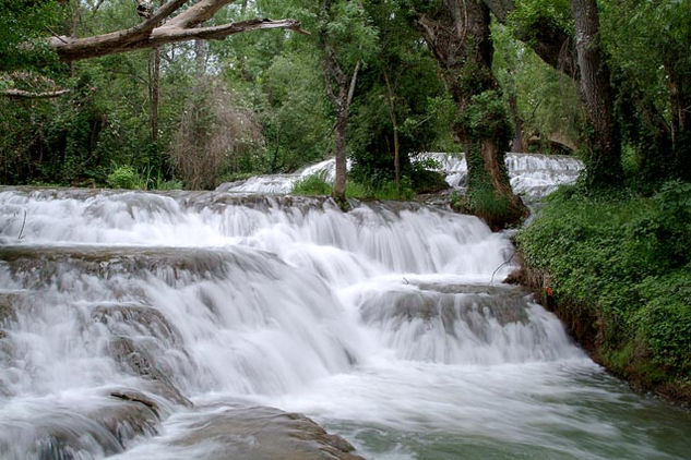 TORRENTE 