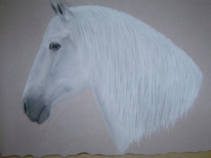 Señalado