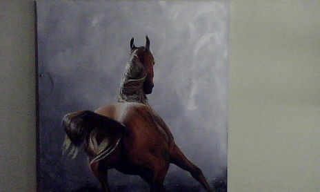 caballos distintos
