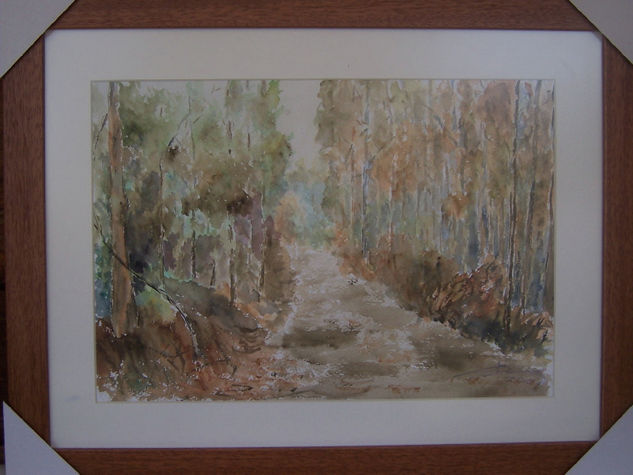 Bosque Acuarela Papel Paisaje