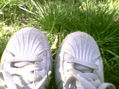 sapatos de zezo