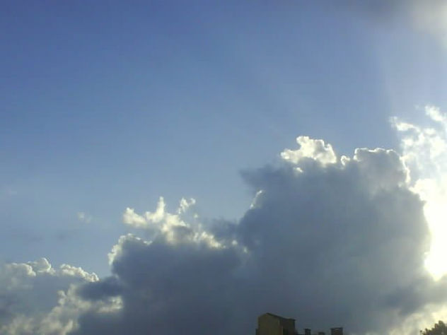 reflejos