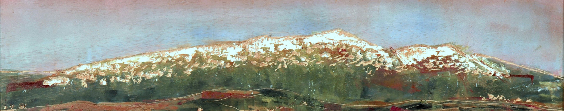 Imagen de portada