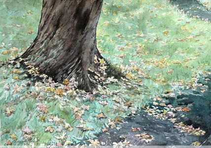 Otoño en irlanda