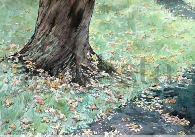 OTOÑO EN IRLANDA