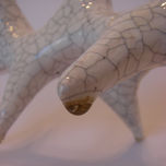 ..organismos... thumbnail 2