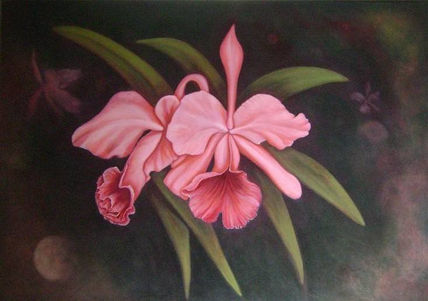 Orquídeas 1