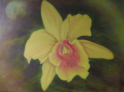 Orquídea 2