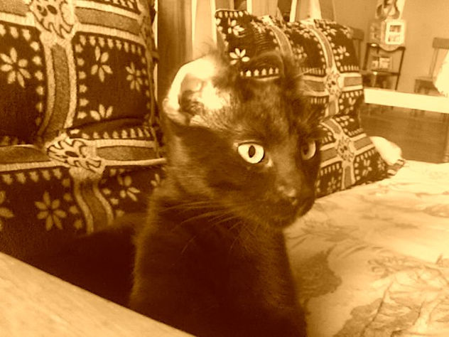 [BLACK]