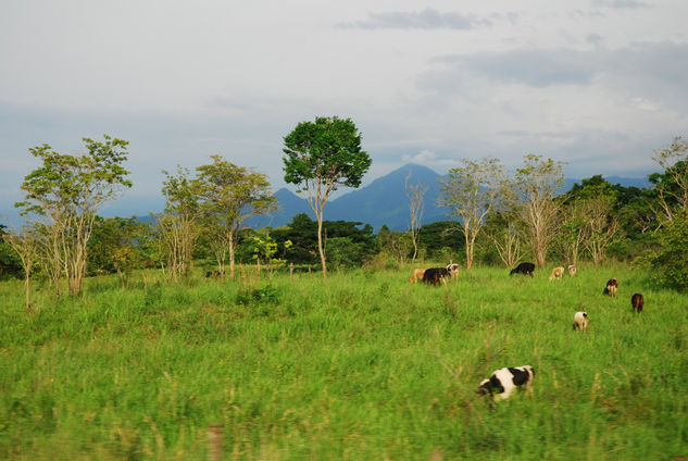 peru 