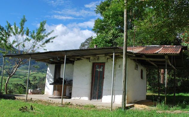 caracolí